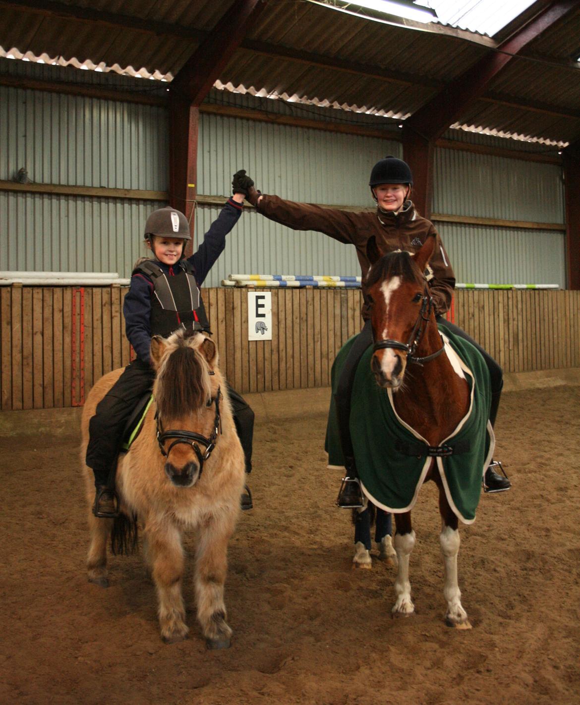 Anden særlig race Pinocchio Star billede 28