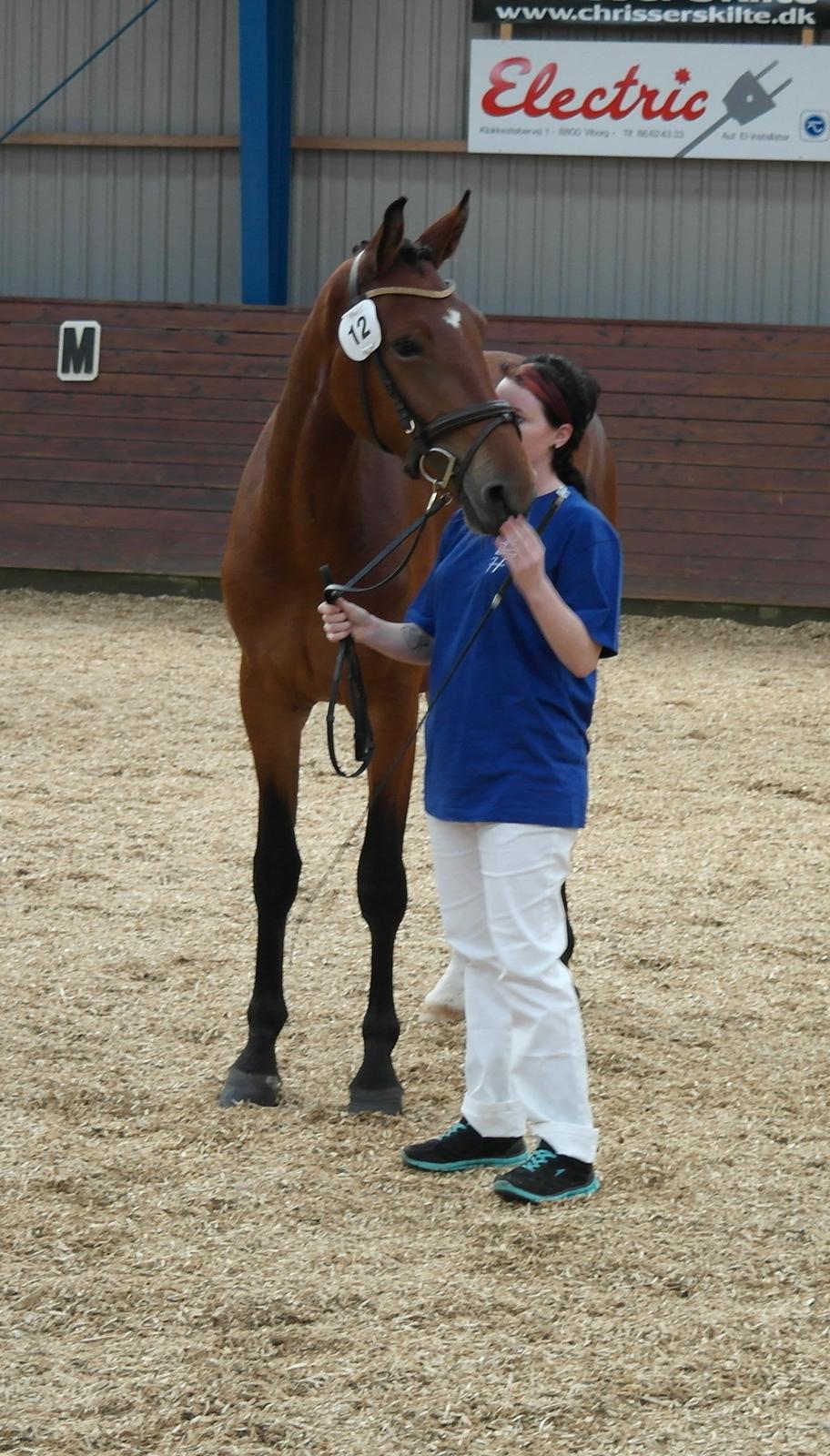 Frederiksborg Nytoftgaards Anastacia (Baby) billede 15