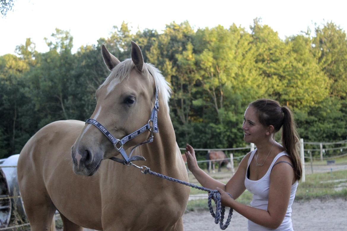 Palomino Magic Missya - Har aldrig følt så meget sikker på en hest som hende! hun virkelig bare min drømme hest! Hun kan altid få smilet frem på mine læber! <3
Fotograf: Astrid Overgaard billede 1
