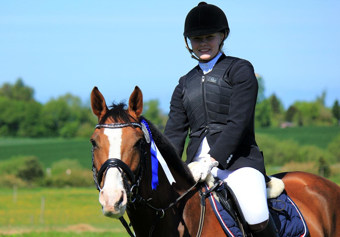 Tysk Sportspony Artos (fedtmulen) B-pony - 2.plads i LD på RVV maj 2012 <3  billede 27