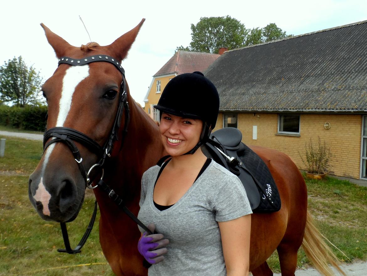 Sportsaraber (A) Selina - Glad rytter... Hesten... er jo en hoppe :) billede 13