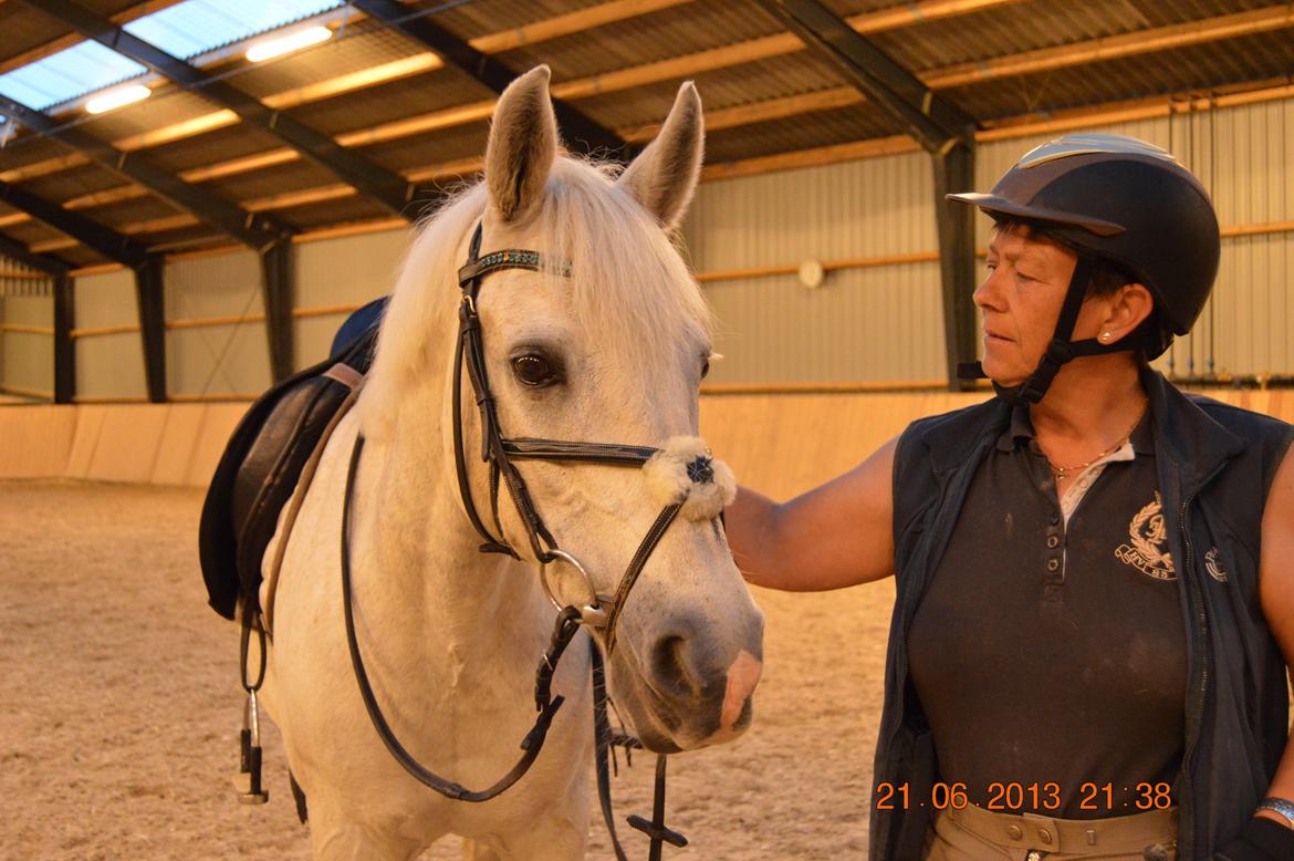 DSP Tovdal's Toby - Hej og velkommen til Toby´s profil :) 

Toby er min mors hest.  billede 1