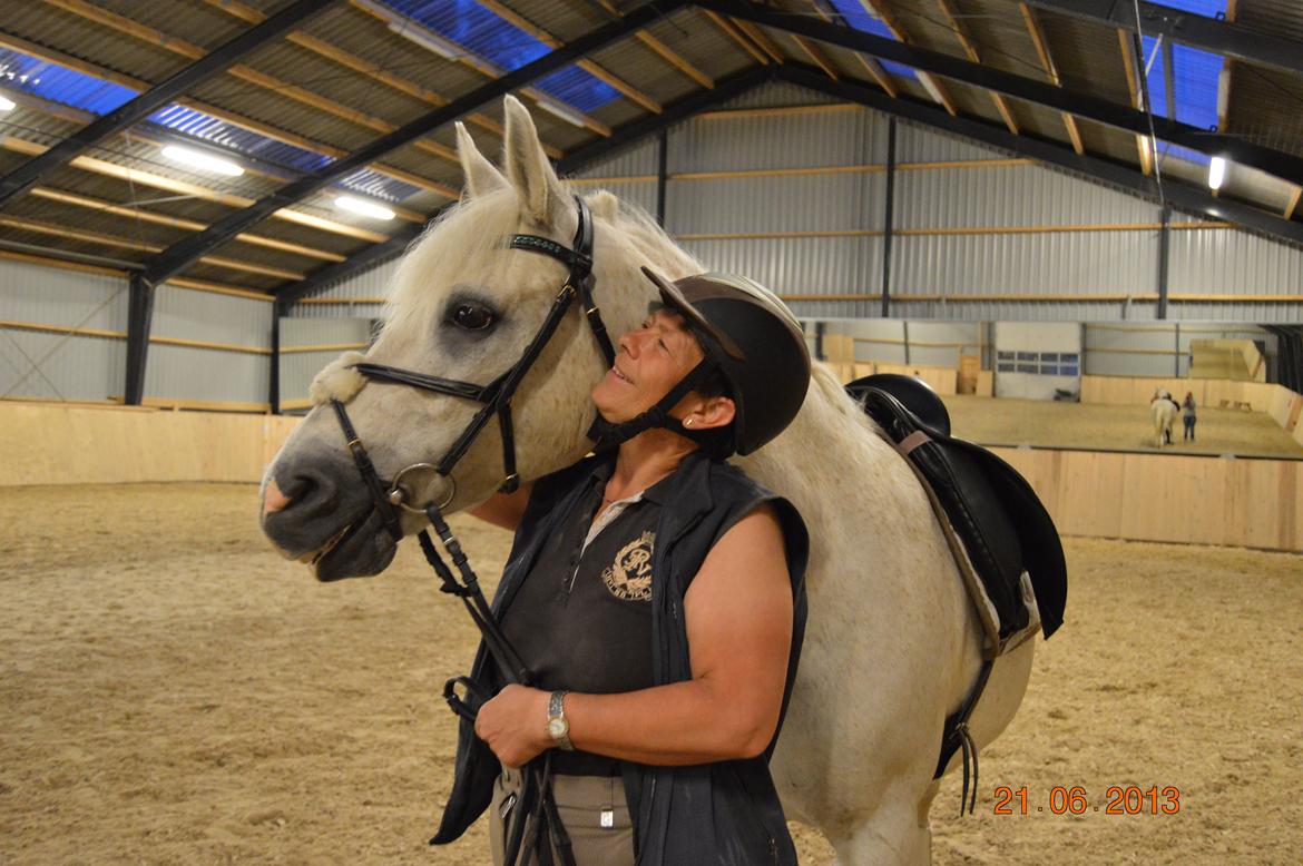 DSP Tovdal's Toby billede 3