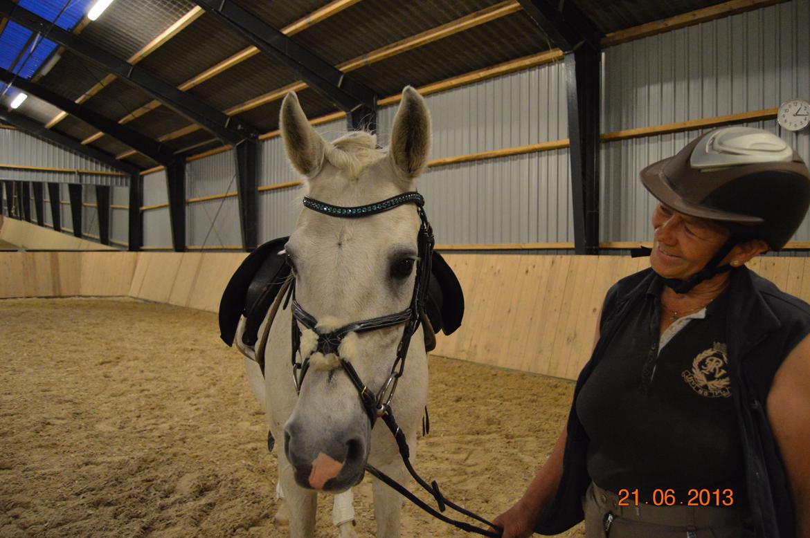 DSP Tovdal's Toby billede 4