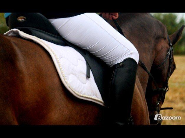 Holstener Lucern - taget af charlotte hoyer billede 18