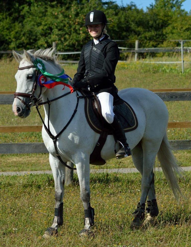 DSP Chanau Venture B-pony - B-ekvipage - Fotograf: Josefine Randrup Jensen billede 16