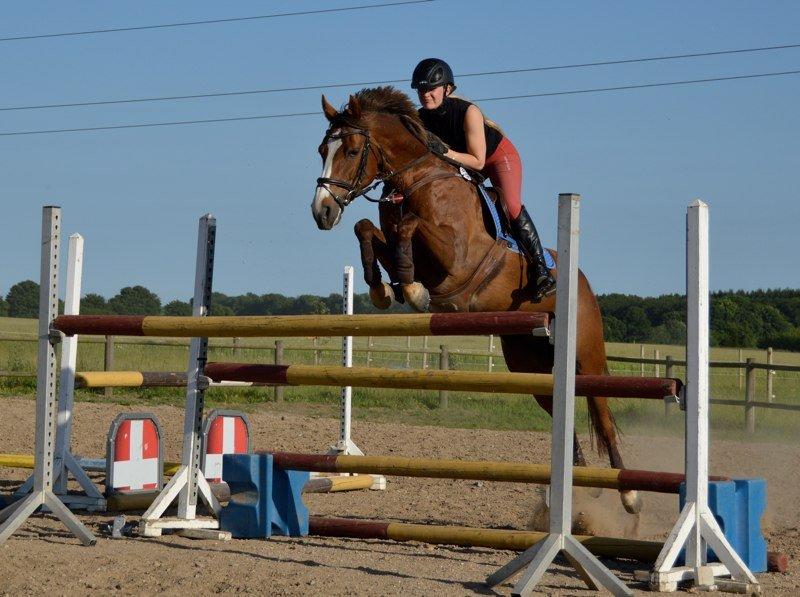 DSP Aurora Stengaard billede 12