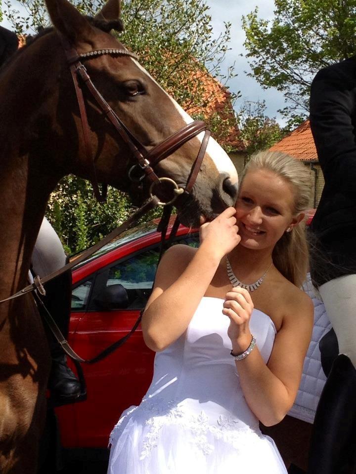 DSP Aurora Stengaard billede 6