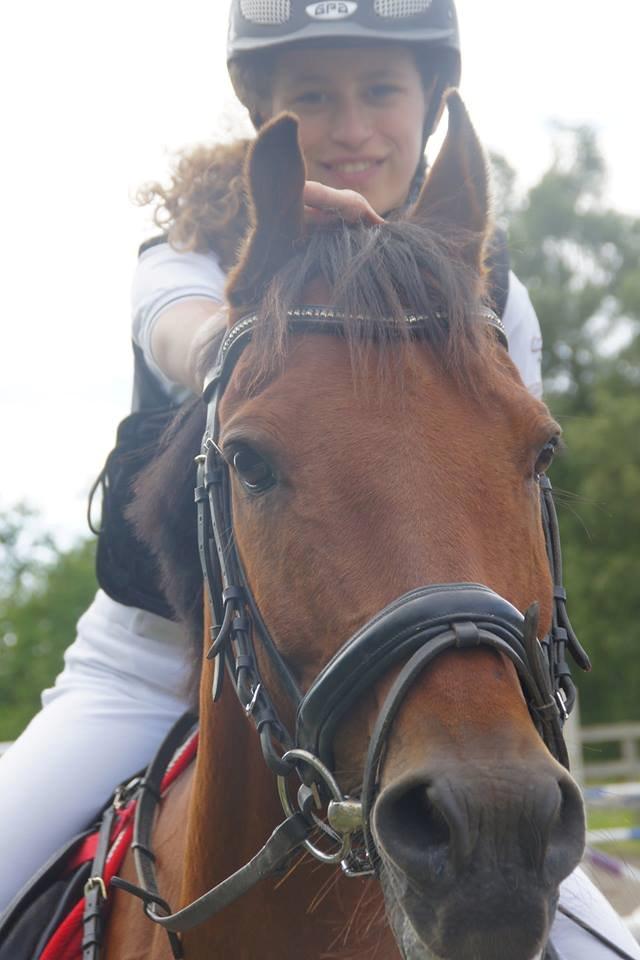 Hollandsk Sportspony Nike - Nike drengen <3 billede 2