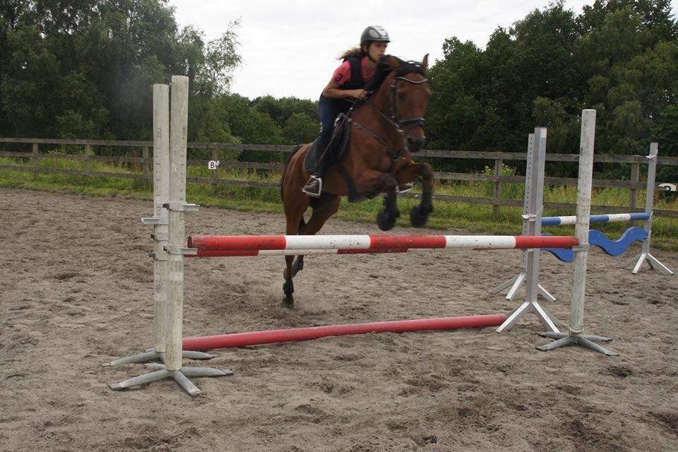 Hollandsk Sportspony Nike - Springundervisning af Sofie Ennis, Pam Jump Horses ridelejr 2012 billede 4