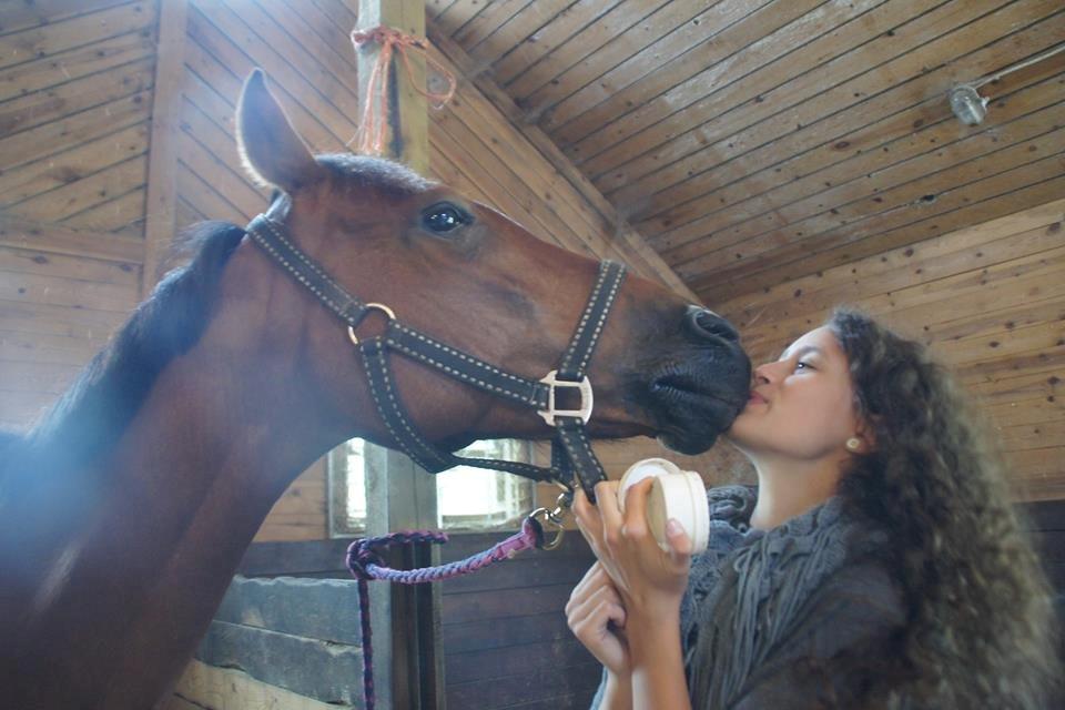 Hollandsk Sportspony Nike billede 11