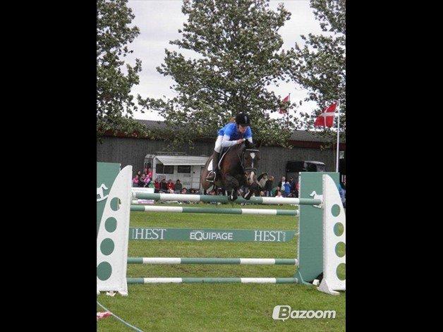 DSP Sebastian B-pony  - Seber med tidligere ejer :-) Her over 155! <3 :D billede 5