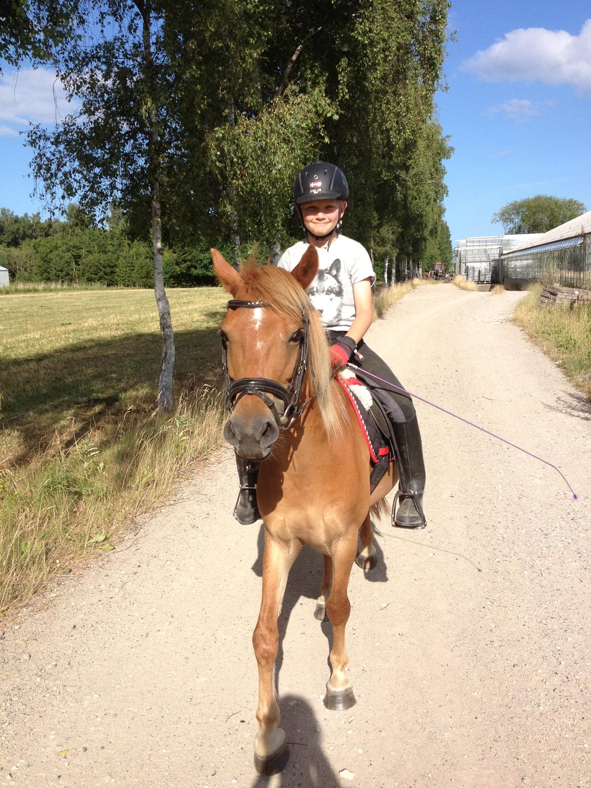 Anden særlig race Charlie - En glad pony og rytter :-) billede 15