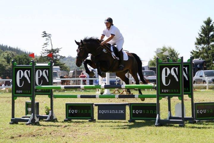 Oldenborg sentinali af danevang billede 17