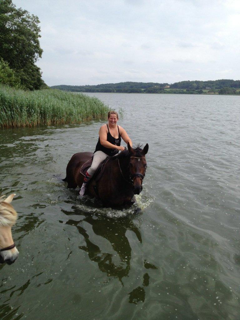 Oldenborg sentinali af danevang billede 19