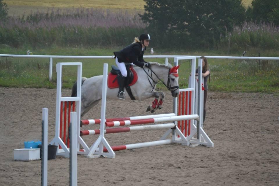 Anden særlig race Cæsar billede 8