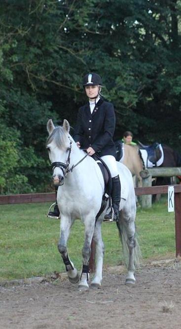 Anden særlig race Cæsar billede 9