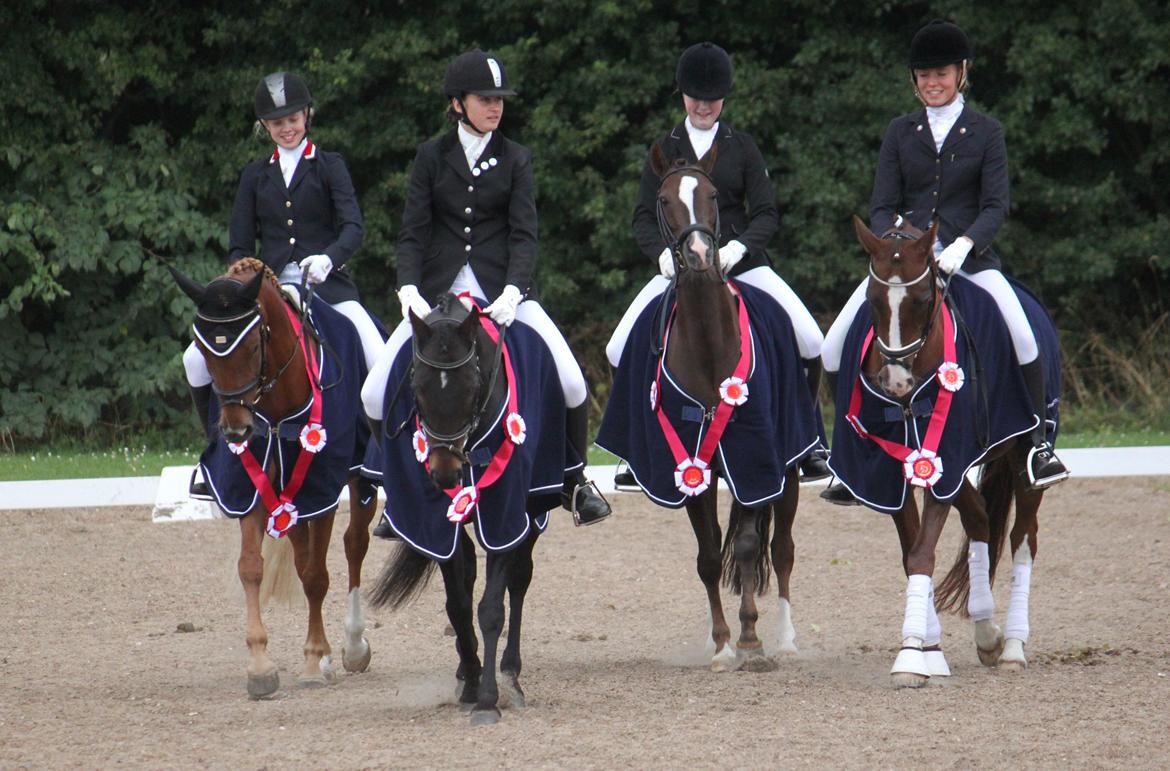 Tysk Sportspony Drambuie 9 *B-Pony* - Louise & resten af holdet fra NSR! De blev distriktsmester i dressur for hold 2013! :) D. 1/9-13. Foto: Mig billede 26