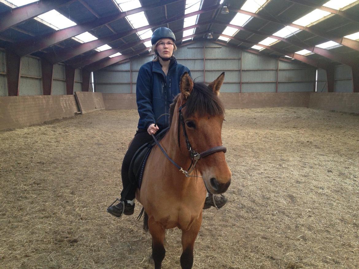 Anden særlig race Naja billede 8