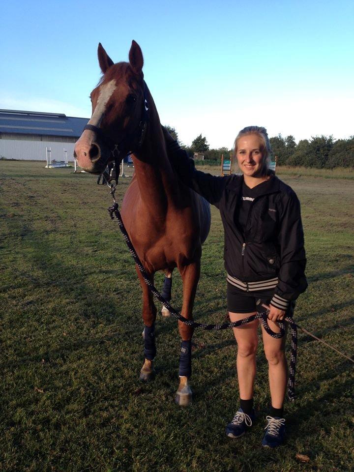 DSP Rafinik  billede 12