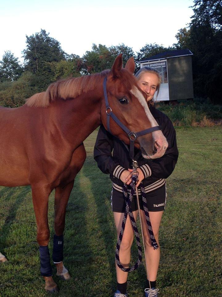 DSP Rafinik  billede 13