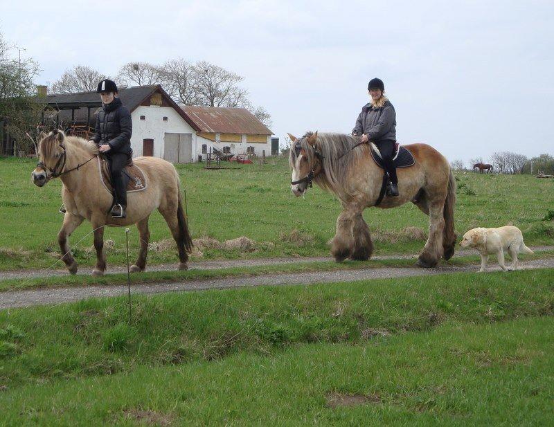 Jyde Kalle Clausdal -RIP. - Ude og ride en lille tur billede 2