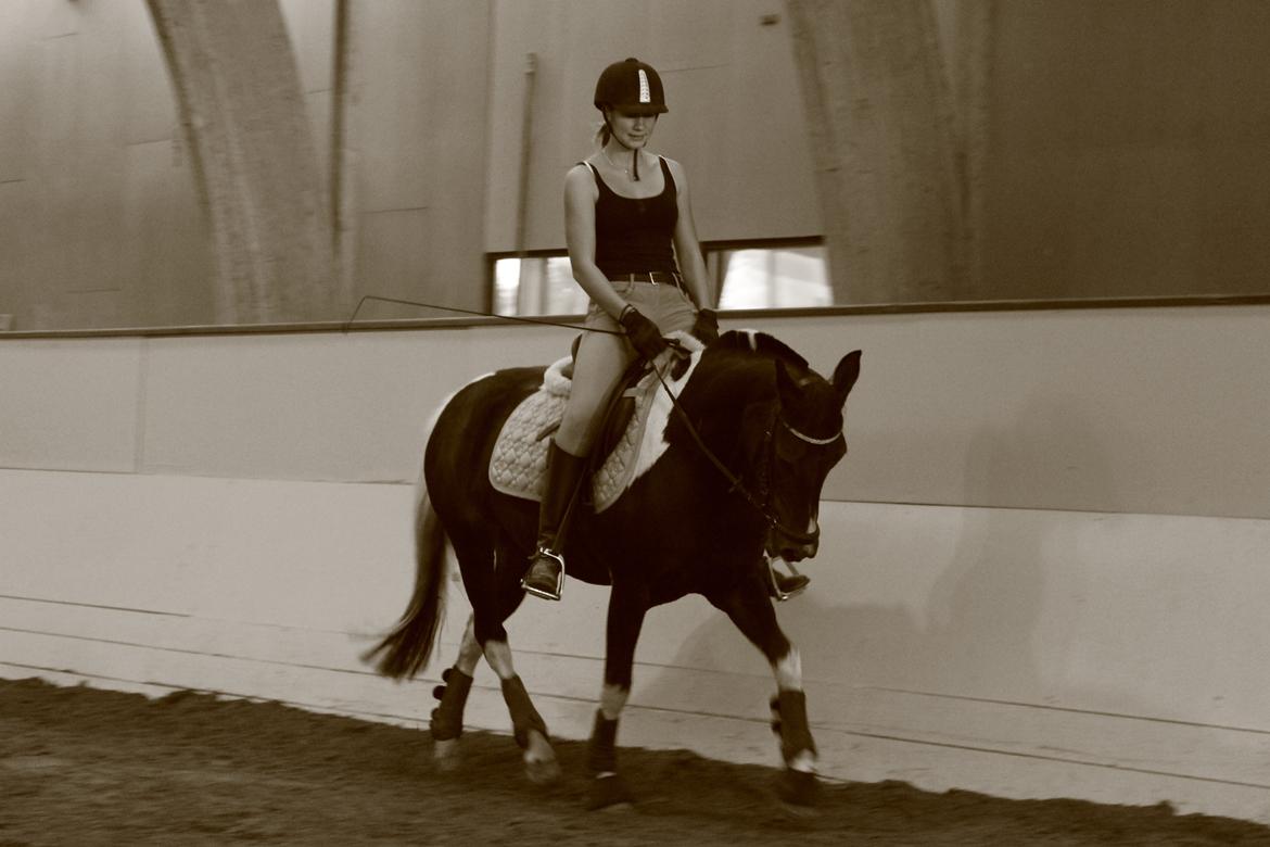 Anden særlig race Lundsbjergårds Indi billede 14