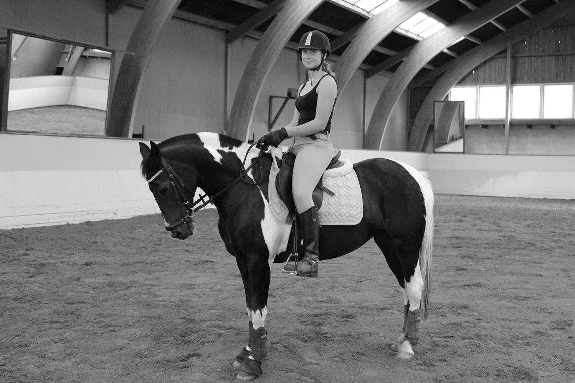 Anden særlig race Lundsbjergårds Indi billede 15