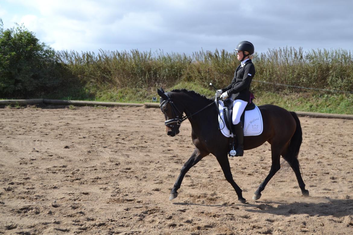 DSP Kjær's Calderina billede 19