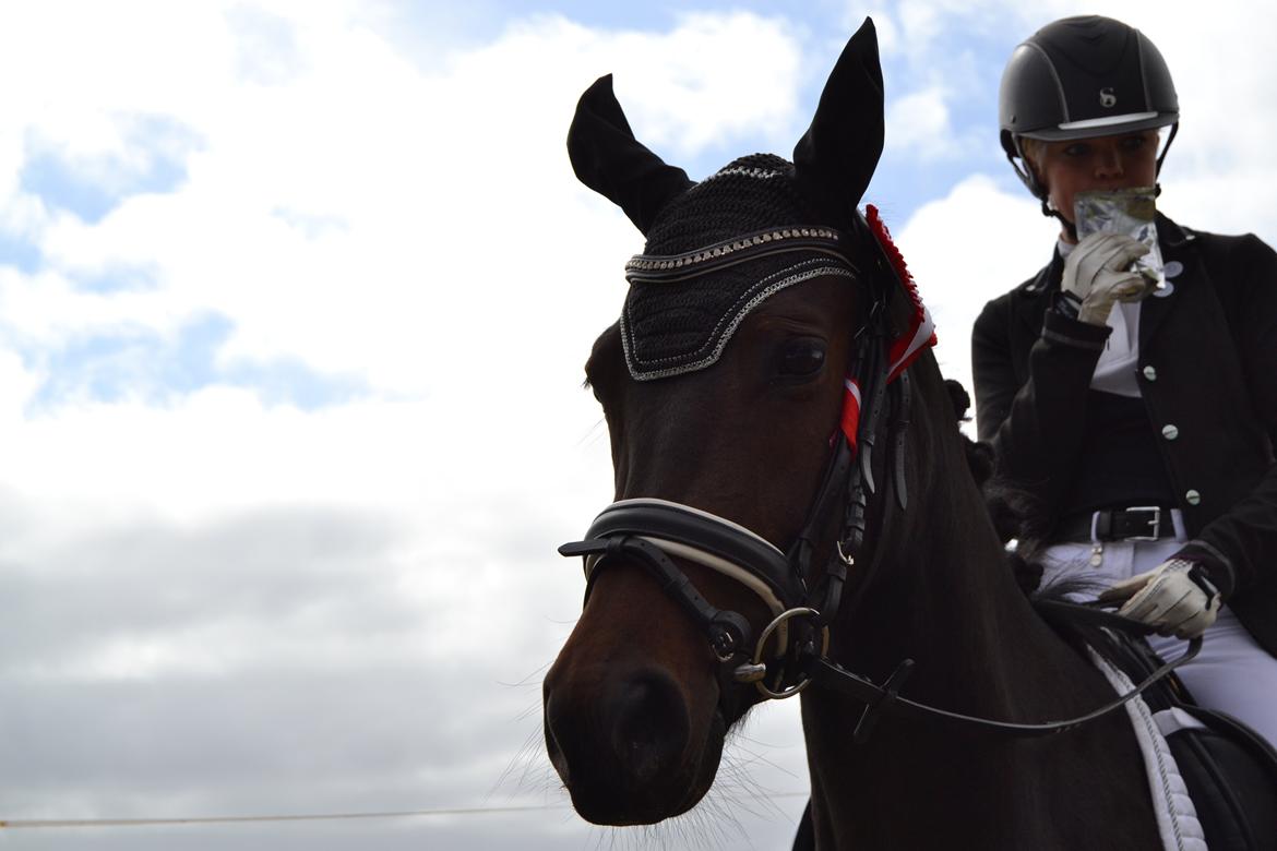 DSP Kjær's Calderina billede 20