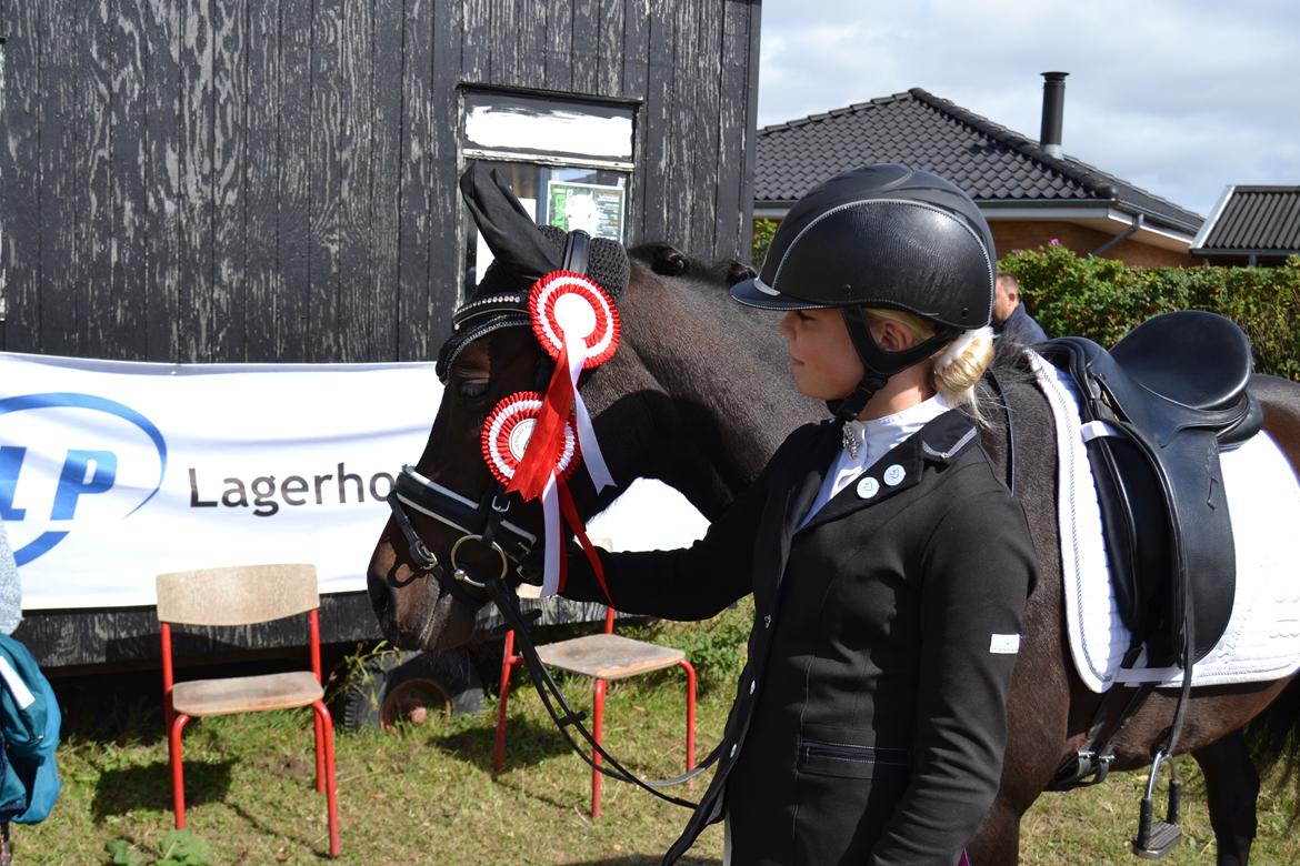 DSP Kjær's Calderina - Vandt Lc1 og lc3 billede 18