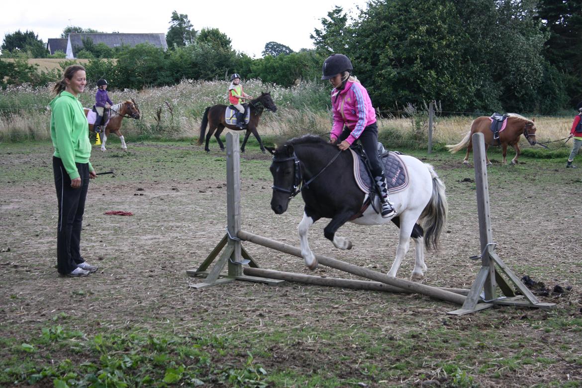 Anden særlig race Hjortagers Trisse - Mathilde og Trisse springer (ca. 20-30 cm) <3 billede 18