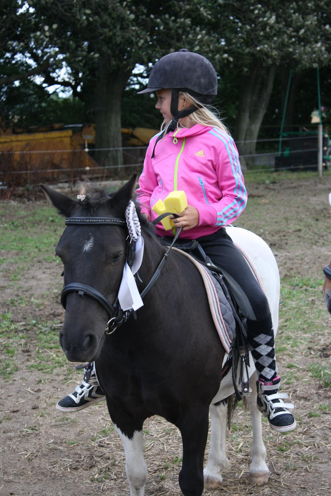 Anden særlig race Hjortagers Trisse - Fin roset, for deltagelse i ride lejr! <3 billede 19