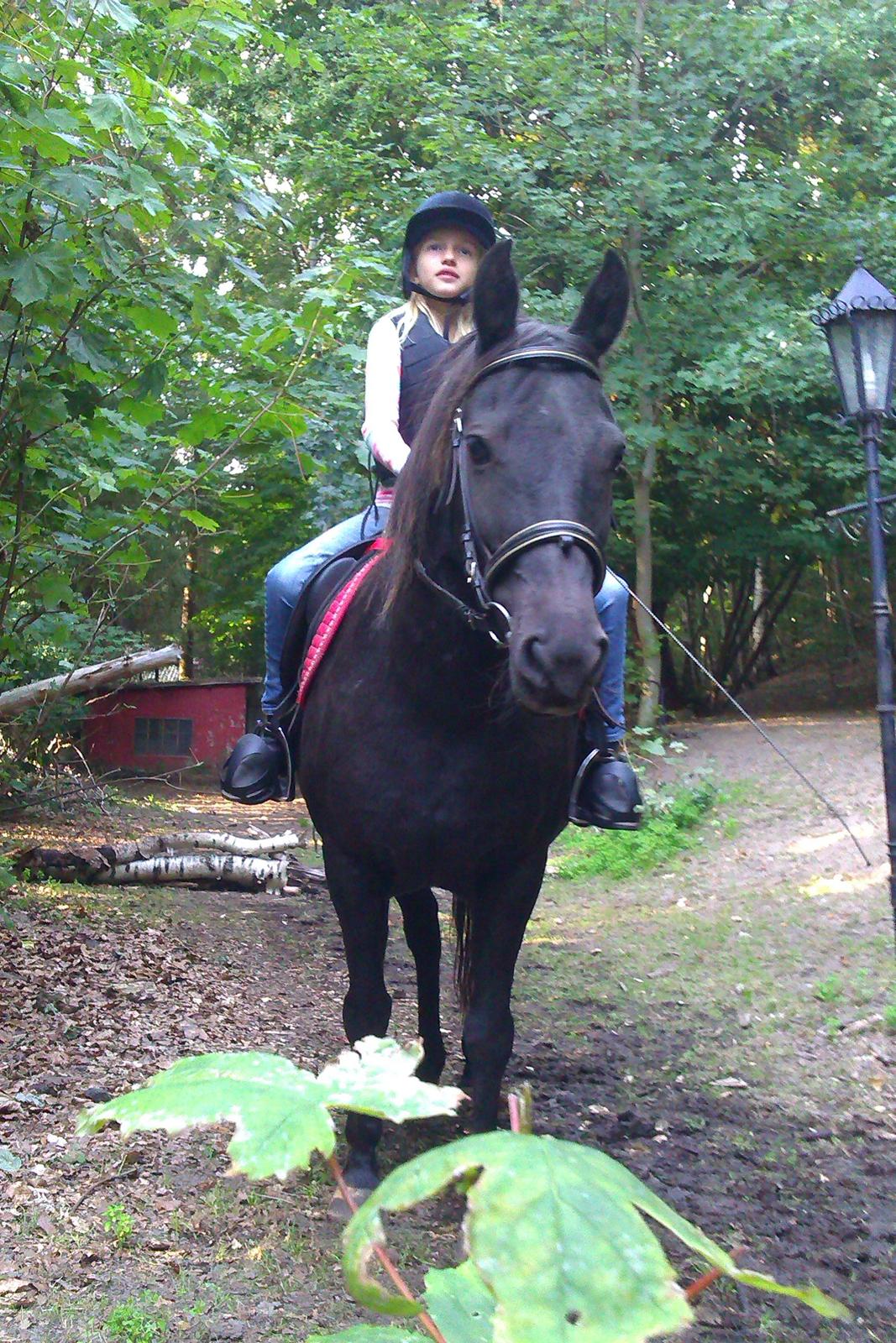 New Forest Martini hedevang - My på Martini
foto mig billede 9