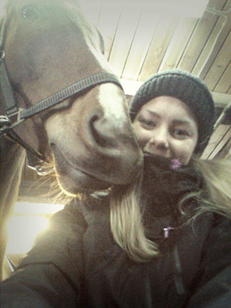 Dansk Varmblod Revaldo D.  - Aftenhygge med Valledrengen billede 21