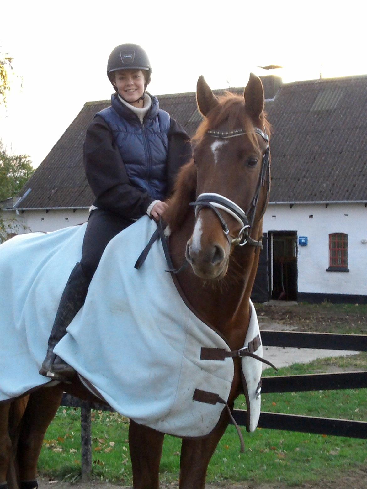 Dansk Varmblod Revaldo D.  - Sommeren er slut og de første dækkener og jakker er fundet frem.  billede 14