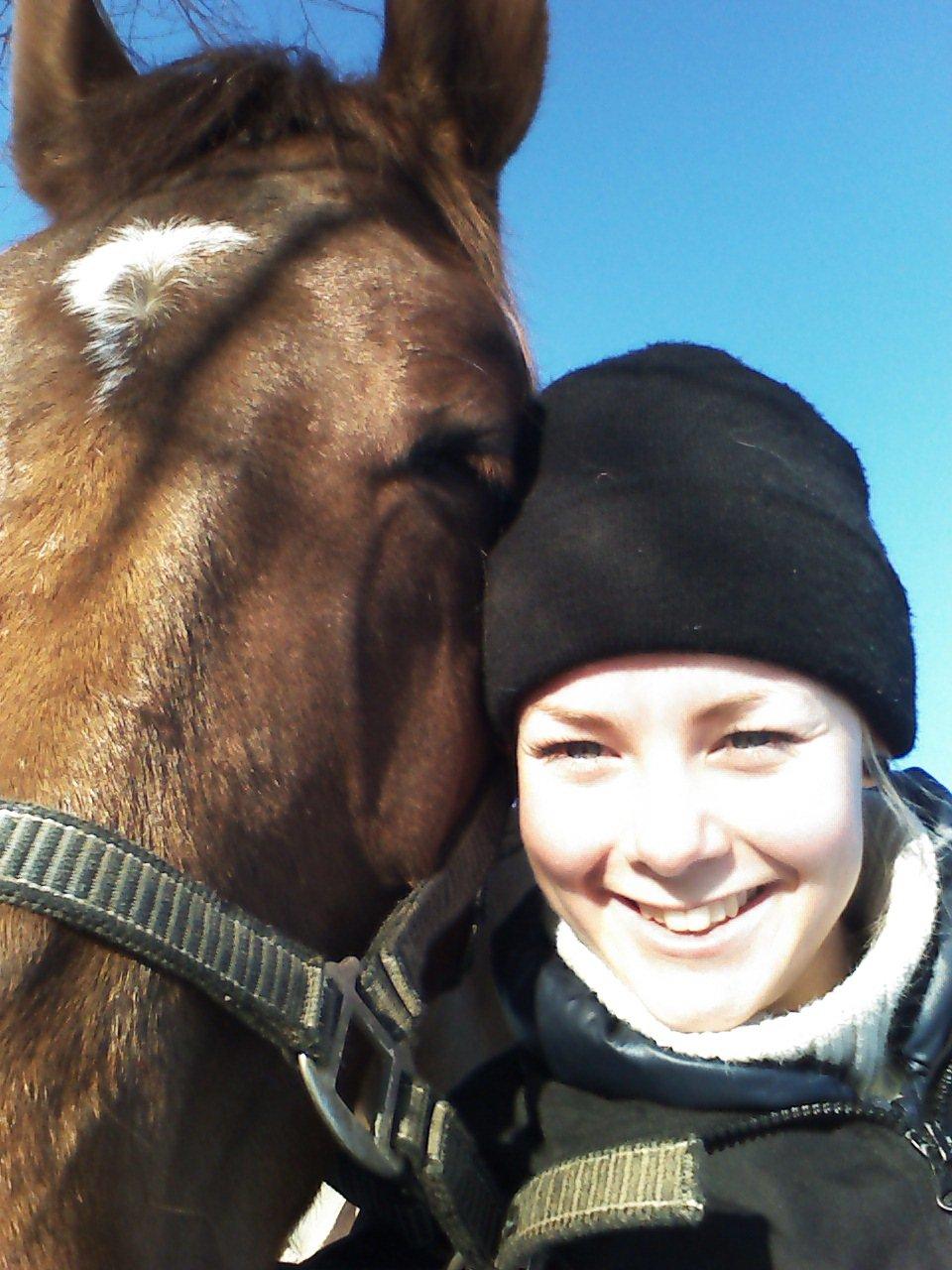 Dansk Varmblod Revaldo D.  - 1. JANUAR 2013 - HAPPY NEW YEAR !!  billede 46