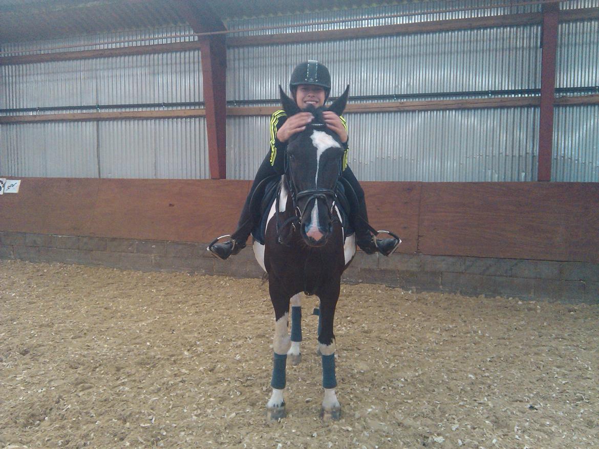 Hollandsk Sportspony Kees - KEES DU ER MIN BEDSTE VEN <3 billede 12