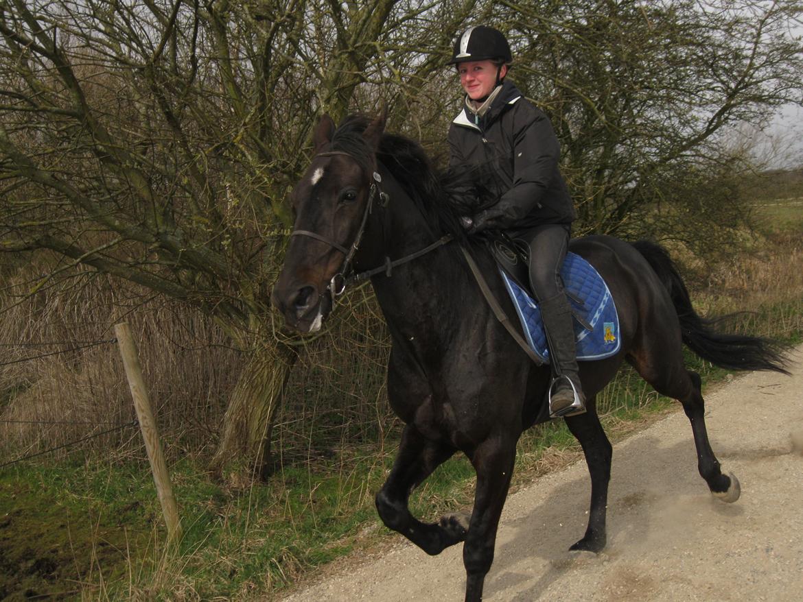 Traver Borga Avin (ca) <3 - Første gang i sandet, op varamning <3 billede 1