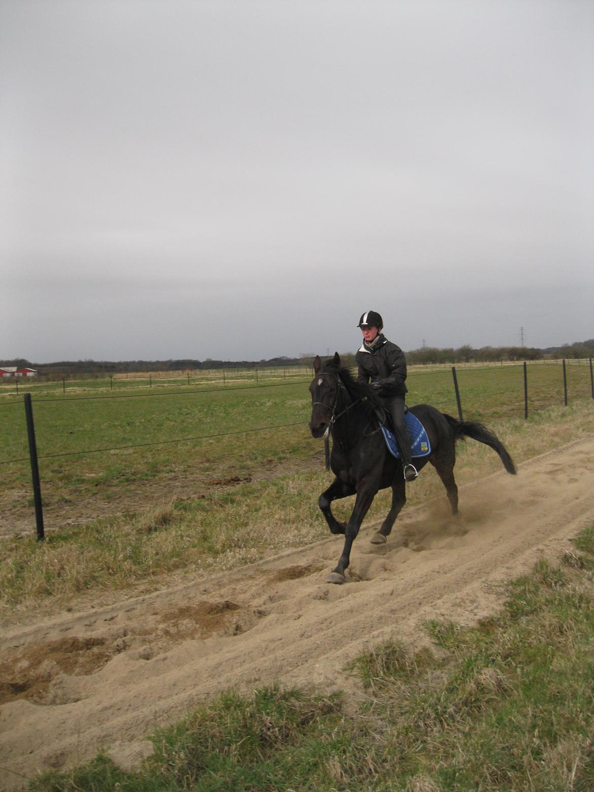 Traver Borga Avin (ca) <3 - I sandet :D Jaa <3 billede 2