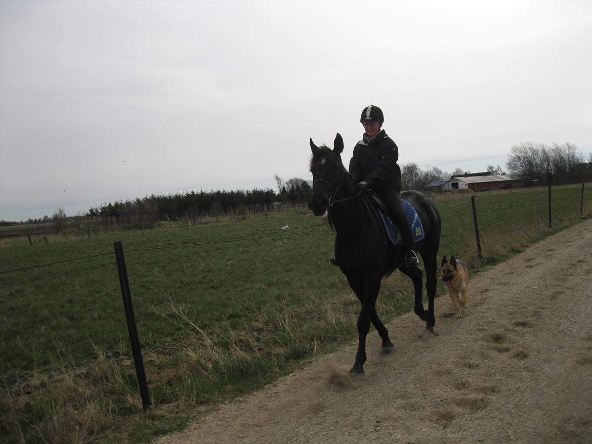 Traver Borga Avin (ca) <3 billede 3