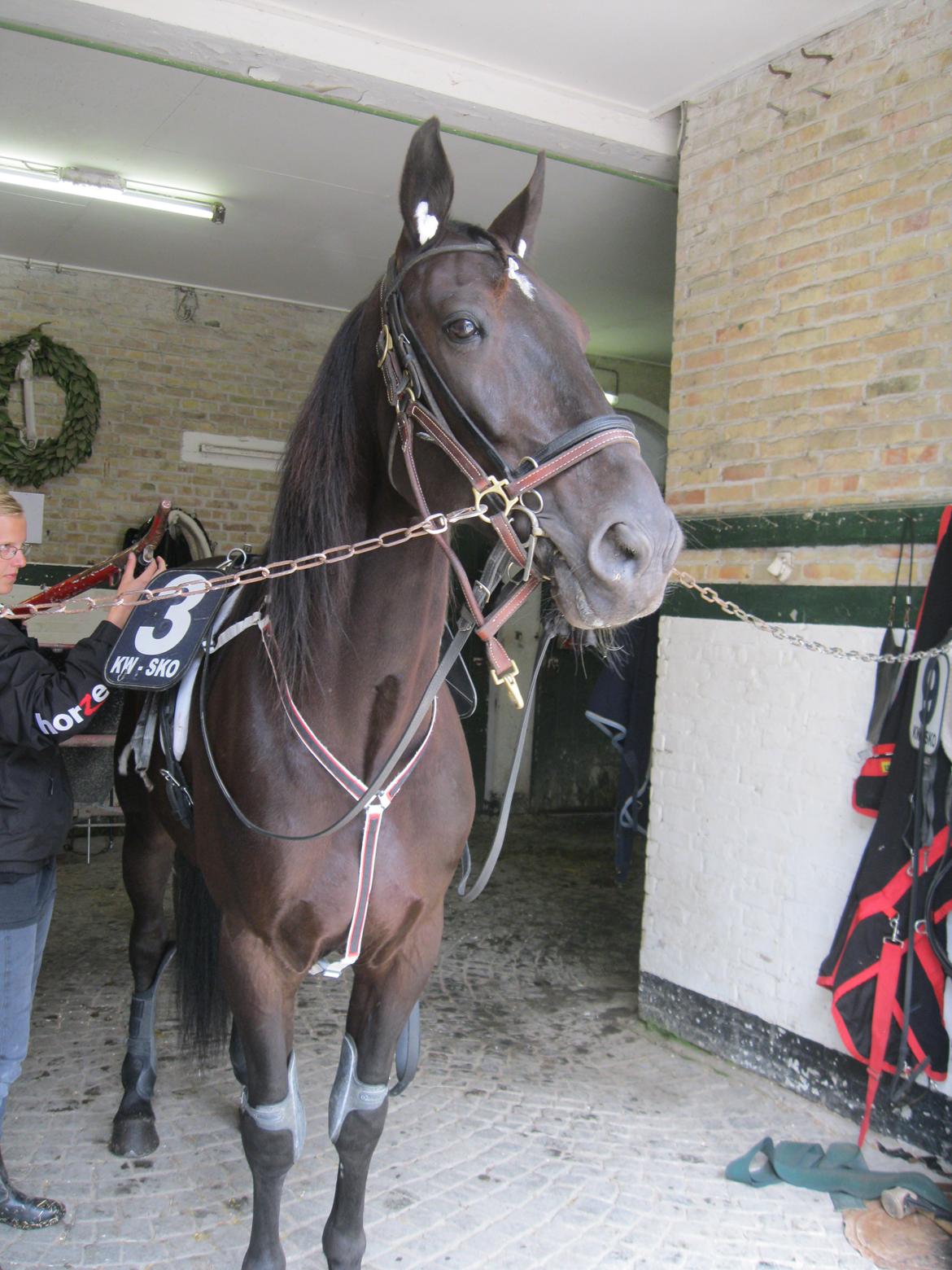 Traver Borga Avin (ca) <3 - Klar til løb <3
D. 27,06-2012 billede 8