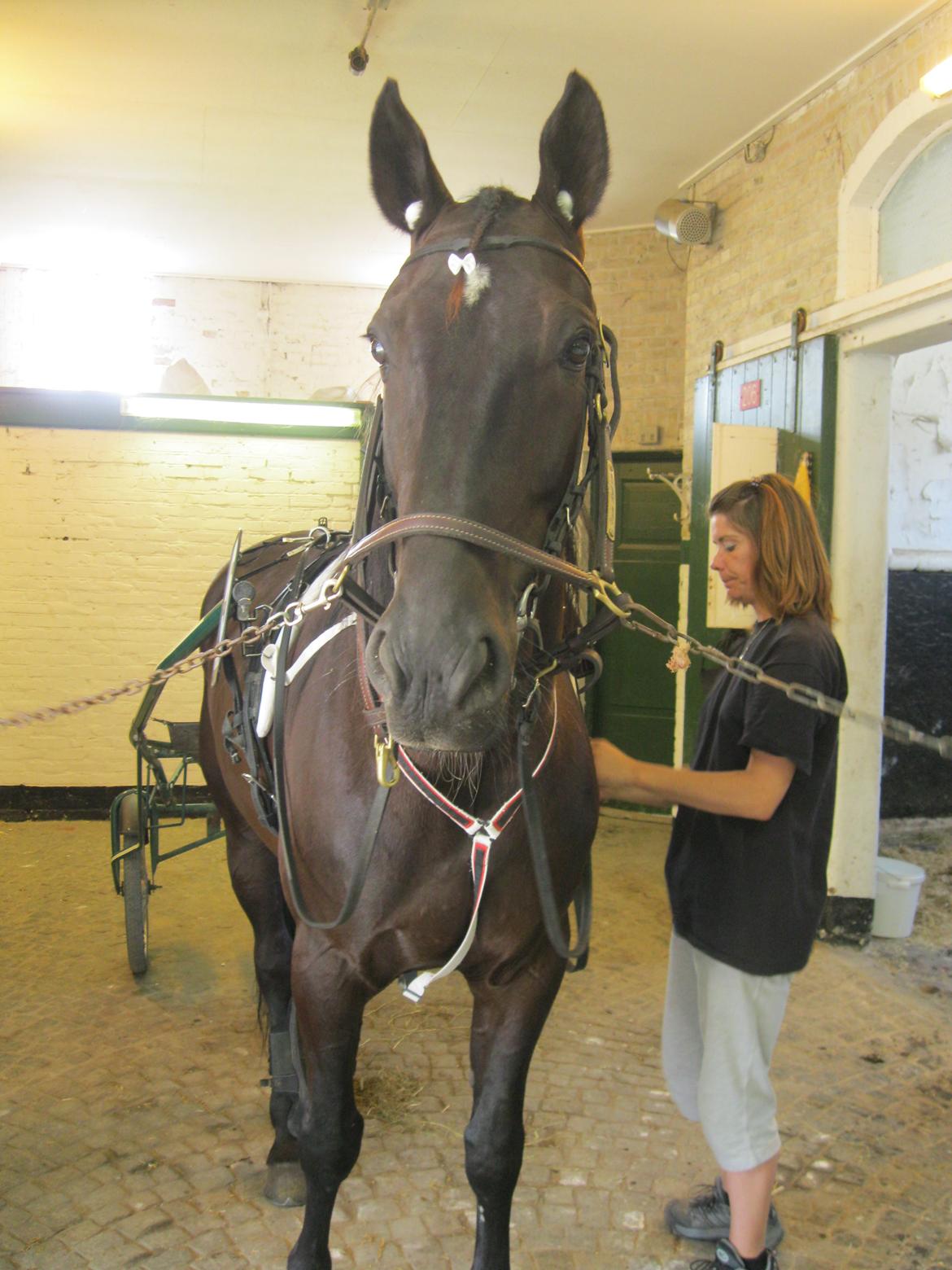 Traver Borga Avin (ca) <3 billede 11