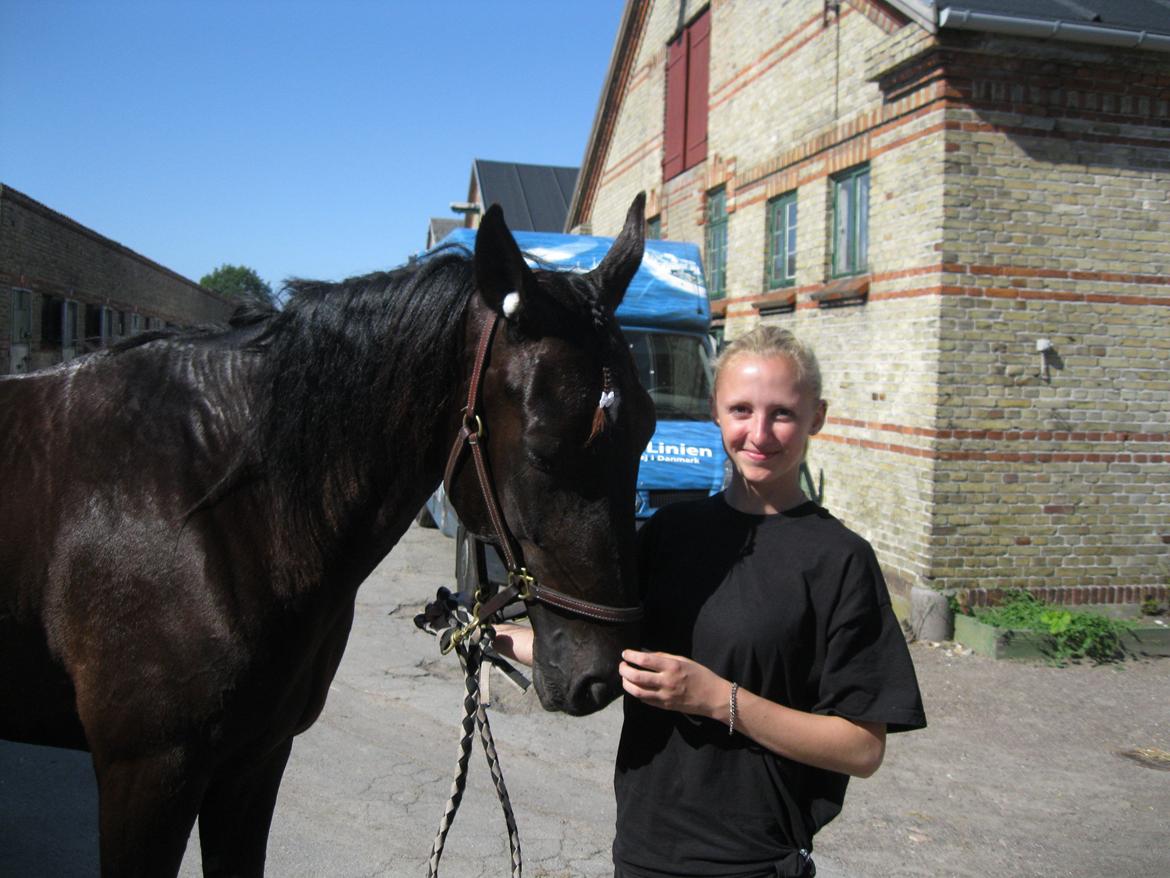 Traver Borga Avin (ca) <3 - Efter et lille bad :D 
D. 04,07 2012 billede 13