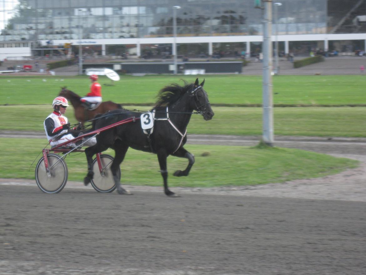 Traver Borga Avin (ca) <3 - I løb :) 
D. 07.10-2012 billede 17