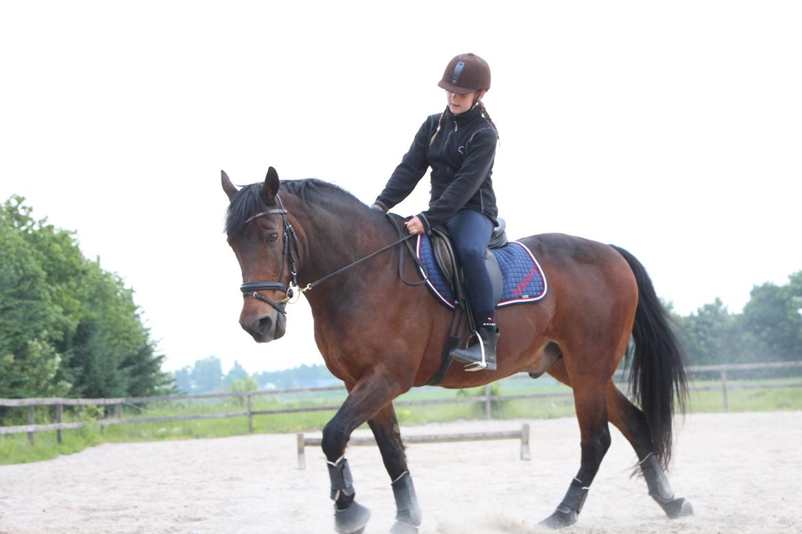 Anden særlig race Rasmus  - Verdens bedste pony! billede 12