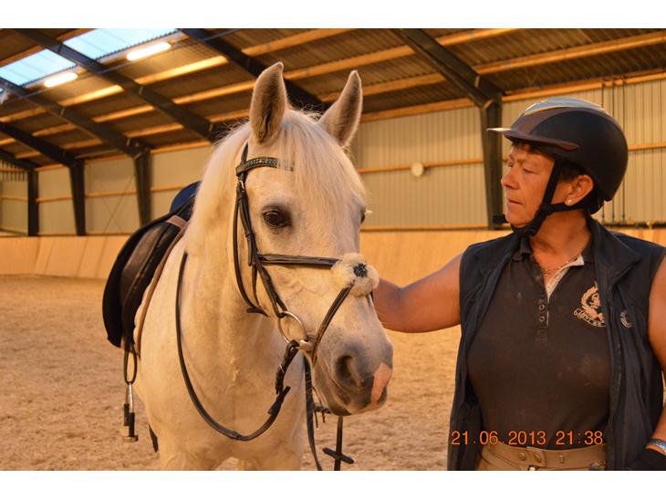 {{currentPhoto.altText}} billede {{currentPhoto.number}}