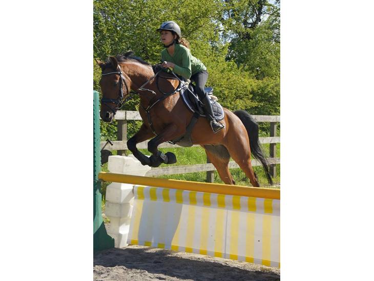 {{currentPhoto.altText}} billede {{currentPhoto.number}}