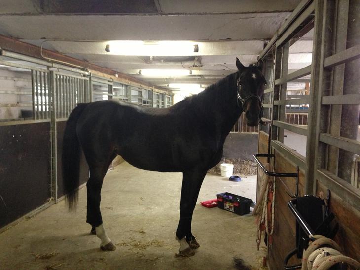 {{currentPhoto.altText}} billede {{currentPhoto.number}}