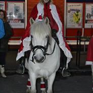 Anden særlig race malinka